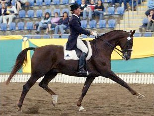 Heath Ryan on Greenoaks Dundee