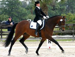 Belinda Nairn-Wertman on Sir Sinclair