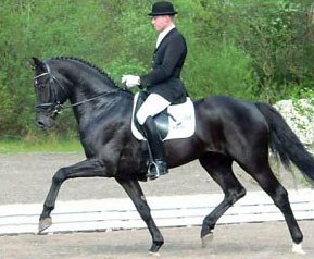 Hannes Baumgart on Royal Highness :: Photo © Mareen Lucas