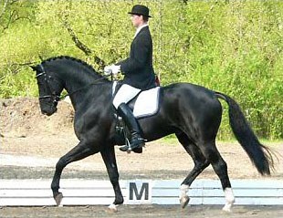 Stefan Wolff on His Highness at the 2005 CDN Bremen :: Photo © Mareen Lucas