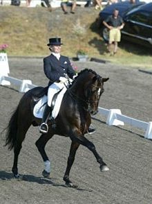 Mikaela Lindh on Milan DVH