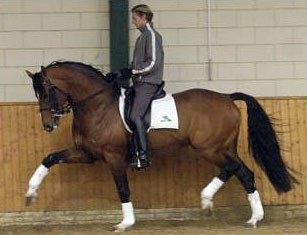 Edward Gal on Prestige VDL