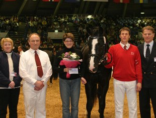 Vallos de Baron, 2005 Danish warmblood licensing champion