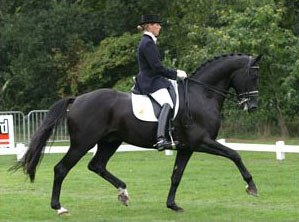 Polansky
