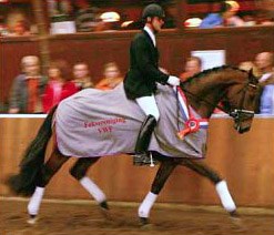 Patrick van der Meer on Vanquir