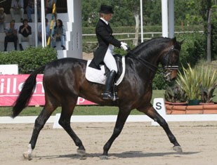 Tatiana Miloserdova on Wat a Feeling at the 2005 CDI Lisbon