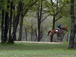 Eventing practice at the ENE in Saumur :: Photo © Astrid Appels