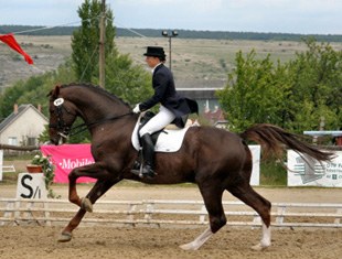Stepanka Koblizkova on Blacoro, 2nd place in the Inter I Kur