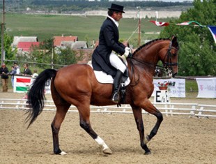 Mauro Roman on Seraphin, winner of the Inter I Kur to Music