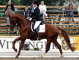 Gillian Duke on Riverside at the 2005 World Young Horse Championships :: Photo © Astrid Appels