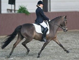 An Sofie Lenaerts on Royale Princess van het Goorhof :: Photo © Koenraad Cappon