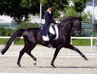 In the small tour, Swiss rider Jeanette Zuber was successful aboard the flamboyant Donnersohn CH.