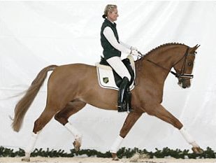 Petra Wilm on Almoretto
