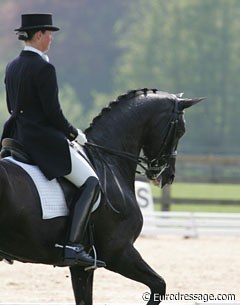 Sophie Baetens-Van Lent on Dark Diamant at the 2006 CDI Hansbeke :: Photo © Astrid Appels