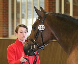 Julie van Olst and her pony Haasendonck's Sultan