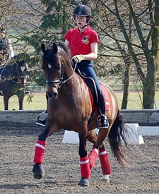 Julie van Olst schooling Haasendonck's Sultan