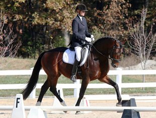 Wamberto at the 2007 U.S. Stallion Performance Testing