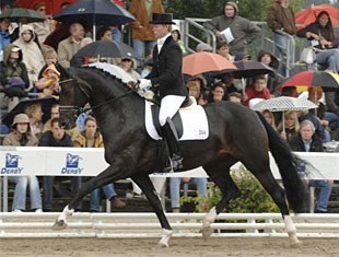 Kira Wulferding on Della Cavalleria