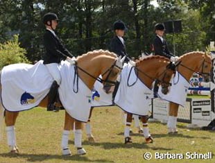 The German pony team