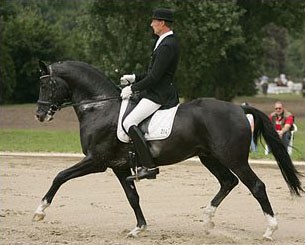 Karolinger at the 2007 Trakehner Championships