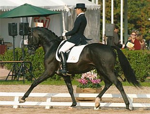 Jessica Michel and Prince de Hus (aka Prime Time) at the 2007 French Young Horse Championships