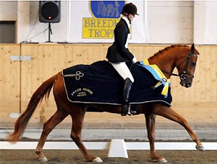 Evelina Johannesson on My Princess at the 2008 Swedish Young Horse Championships