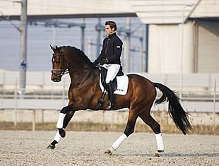 John Tijssen on Wonderboy