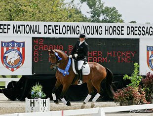 Chris Hickey and Cabana Boy win at the 2008 U.S. Young Horse Championships :: Photo © Phelpsphotos.com