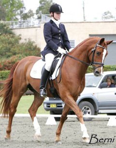 Victoria Welch on Washington at the 2008 CDI Sydney :: Photo © Berni Saunders