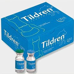 Tildren