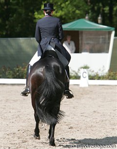 A rider entering the ring at A to be judged :: Photo © Astrid Appels