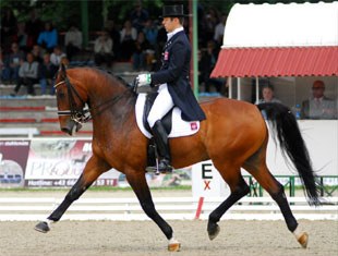 Polish Michal Rapcewicz on the Polish warmblood Randon