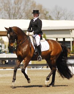 Kathryn Butt aboard her Dutch warmblood Kajan (by Elcaro)