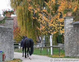 The entrance at La Panetiere, Catherine and Michel Henriquet's farm in Autouillet, France :: Photo © Silke Rottermann