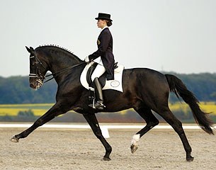Amandine Prevost on the Hanoverian stallion Garçon