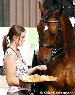 Groom Evelyne Koller feeds Regent apples and carrots at his retirement ceremony at the 2010 Swiss Dressage Championships :: Photo © Silke Rottermann