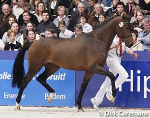 Cachet L (by Jazz x Ferro) :: Photo © Dirk Caremans