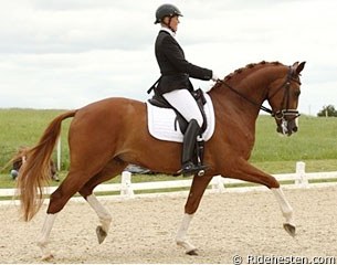 Sanne Henningsen on Capong :: Photo © Ridehesten.com