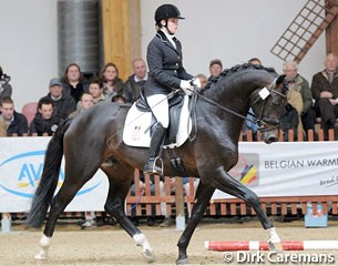 Connaisseur (by Con Amore x Donnerhall) :: Photo © Dirk Caremans