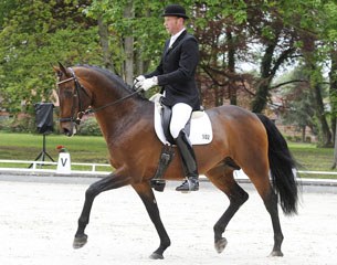 Hartwig Burfeind and Diamonit II at the Redefin Bundeschampionate Qualifier :: Photo © Stefan Lafrentz