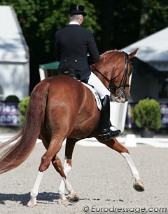 Hubertus Schmidt struggled to keep the contact light and steady. The chestnut gelding almost constantly had his mouth open. The transitions and regularity in piaffe and passage are normally better. The canterwork was excellent