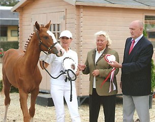 Fantasy Boderes (by Fiorano x Wolkenstein II)