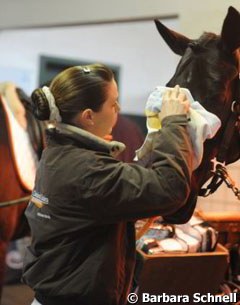 Grooming the horses