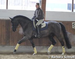 Susanne Miesner on Celentano