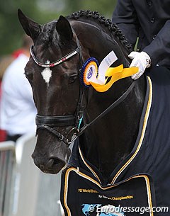 UNO Donna Unique, 2010 World Young Horse Champion :: Photo © Astrid Appels