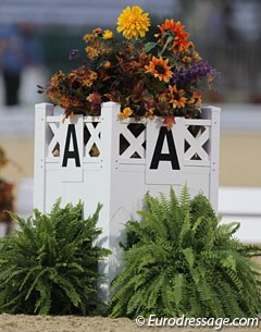 Dressage at the 2010 World Equestrian Games :: Photo © Astrid Appels