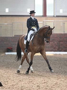 Sorrell Klatzko on Tornado at the 2011 Irish Winter Dressage Championships