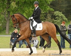 Ulrik G. Sørensen on Romando :: Photo © Ridehesten.com