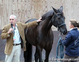 Equitation scientist Andrew McLean at work :: Photo © Astrid Appels