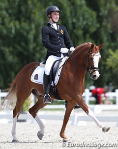FEI Dressage Pony Ivano